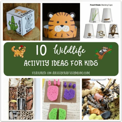 It's World Wildlife Day on March 3 and the focus of 2017 is on young people. Let's get our young ones involved with these wildlife activity ideas for kids! Theme Activities For Kids, World Maths Day, Hibernation Activities, Wildlife Week, Habitat Activities, World Wildlife Day, Green Crafts For Kids, Wildlife Day, Theme Activities