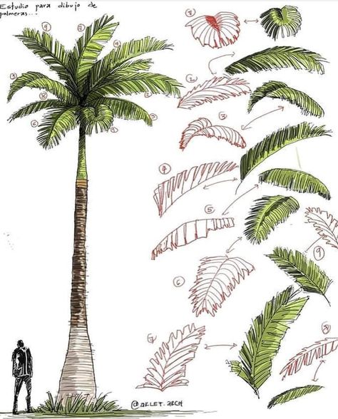 At Arcfly_ft Landscape Tutorial, Palm Tree Drawing, Seni Mural, Tree Sketch, Landscape Design Drawings, Art Literature, Desain Lanskap, Tree Sketches, Landscape Sketch