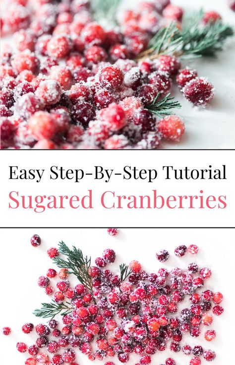 Learn how to make sugared cranberries with this quick and easy sugar cranberries recipe. These candied cranberries are perfect for holiday celebrations like Thanksgiving and Christmas. Enjoy this festive treat and discover how to sugar cranberries for the best sugared cranberries to impress your guests! Sugar Cranberries, Candied Cranberries, Sugared Cranberries, Holiday Dinner Party, Eating Light, Christmas Entertaining, Fall Cooking, Thanksgiving And Christmas, Cranberry Recipes