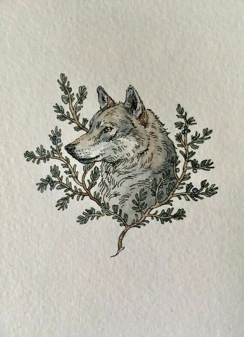 Juniper Branch, Branch Painting, Fall Illustration, Wolf Head, Grey Wolf, A Wolf, Watercolor And Ink, Hand Painted, Grey