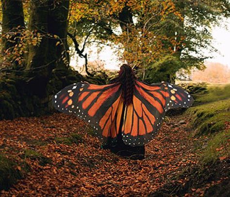 Butterfly Cloak, Monarch Fairy, Fairy Cape, Butterfly Wings Costume, Giant Butterfly, Cape Costume, Cape Cloak, Butterfly Costume, Beach Scarf