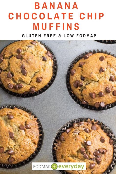 Ibs Diet Recipes, Fodmap Baking, Fodmap Desserts, Fodmap Recipes Dinner, Low Fodmap Recipes Dinner, Fodmap Meal Plan, Fodmap Breakfast, Low Fodmap Snacks, Fodmap Friendly Recipes