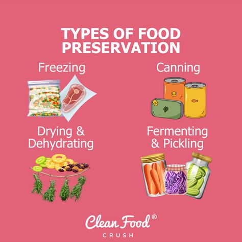 Simple Methods For Food Preservation | Clean Food Crush Food Preservation Methods, Healthy Practices, School Science Projects, Small Cabbage, Meal Prep Clean Eating, Clean Food Crush, Pickled Veggies, Food Crush, Clean Food