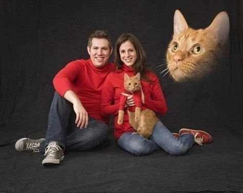 These people who thought this was a cute family portrait. | 23 Cat People Who Need To Be Stopped Awkward Photos, Awkward Family Photos, 밈 유머, Fraggle Rock, Christmas Family Photos, Funny Christmas Cards, Family Humor, Cat Family, 웃긴 사진