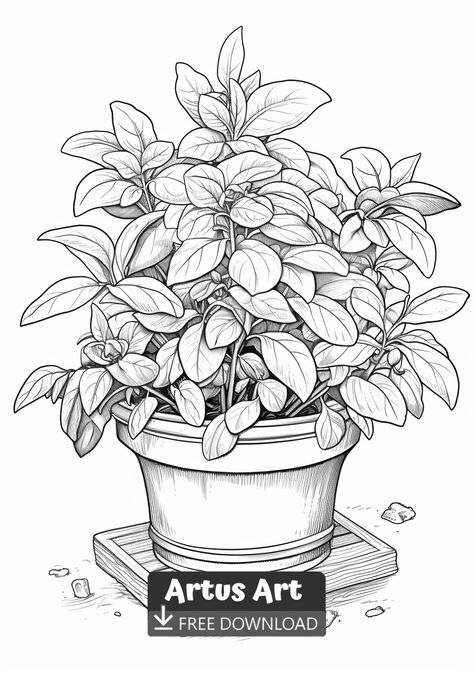 Basil in a Culinary Herb Collection Coloring Page - Free PDF Download Coloring Page. #freedownload #basilinaculinaryherbcollectioncoloringpage #basilinaculinaryherbcollection #basilcoloringpages Herb Collection, Thistles Art, Vegetable Coloring Pages, Garden Coloring Pages, Kitchen Herbs, Culinary Herbs, Different Shades Of Green, Colorful Garden, Free Coloring