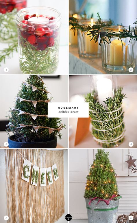 24 ways to decorate with rosemary this holiday | My Paradissi Rosemary Centerpiece, Rosemary Decor, Rosemary Ideas, Rosemary Christmas Tree, Using Rosemary, Rosemary Wreath, Christmas Diy Decorations, Yule Tide, Money Penny