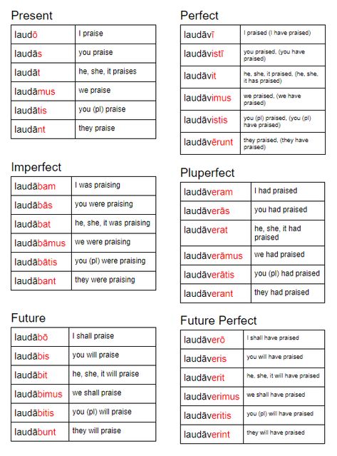 Latin Conjugation Chart, How To Learn Latin, Cute Latin Nicknames, Latin Verbs, Latin Language Learning, Learn Latin, Latin Grammar, Conjugation Chart, Teaching Latin