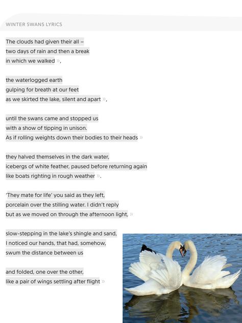 Winter Swans. My favourite poem from the GCSE anthology and so apt. Swan Poem, Gcse Resources, Winter Swan, Calming Landscapes, Gcse English Literature, Movie Set, White Swan, Movie Sets, English Literature