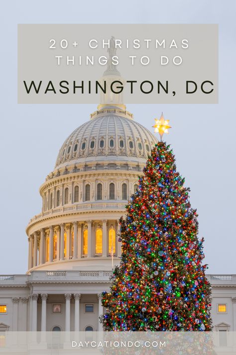 Celebrating the holidays in Washington, DC? Check out Christmas trees, markets, light shows, and more! Click the link for the full schedule. Washington Dc Christmas Things To Do In, Washington Dc At Christmas, Washington Dc Aesthetic Winter, Washington Dc December, Christmas In Washington Dc, Washington Dc In December, Dc At Christmas, Dc In December, Christmas In Dc