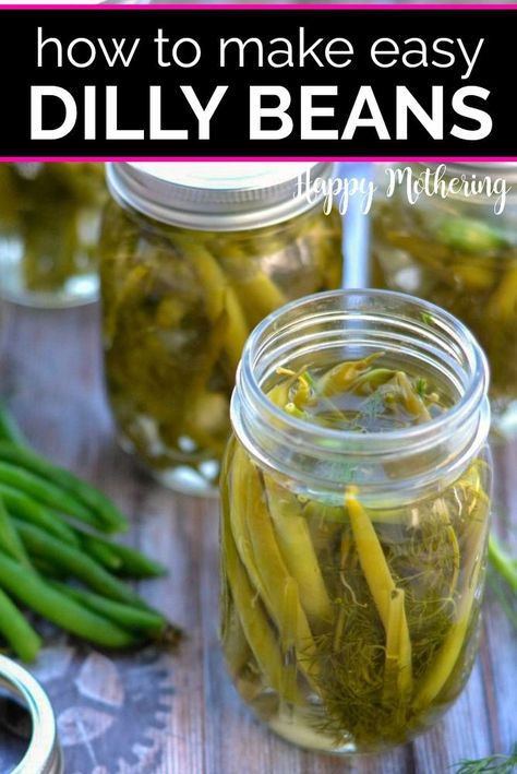 Dill Green Beans Canned, Easy Refrigerator Dilly Beans, Dilled Green Beans, Dill Green Beans, Pickled Green Bean Recipes, Pressure Canning Green Beans, Pickled Beans, Pickled Recipes, Newest Recipes