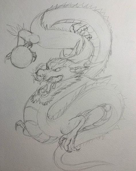 Serellis Art & Design on Instagram: “First traditional Japanese dragon sketch!! - - - DMs open Email: Alex.serellis@protonmail.com - - - #art #artist #tattoodesigns #design…” Dragon Sketch Drawing, Asian Dragon Sketch, Japanese Dragon Drawing Sketches, Japanese Drawing Traditional, Art Sketches Dragon, Chinese Dragon Drawing Sketches, Dragon Drawing Sketches Simple, Japanese Drawing Ideas, Drawing Dragons Sketches