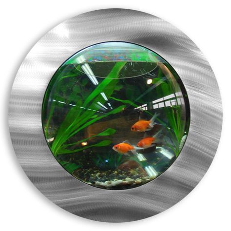 Introducing Mirrored Fish Bubbles. These hip and trendy fish tanks can be hung virtually anywhere. They require no pump or filtration. You can decorate your Fish Bubble with any aquarium accessories a Aquarium Wall, Bubble Fish, Cool Fish Tanks, Aquarium Supplies, Bubble Wall, Turtle Tank, Cool Fish, Home Aquarium, Fish Supplies