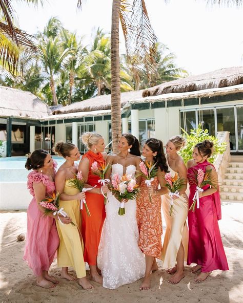 A lil Mexico moment 🌊🐚 Here is your sign to have a destination wedding!! •had so much fun helping out the wonderful @photoandfilmsbyabigale with her beautiful Cancún wedding!!🌴 #destinationwedding #wedding #weddingday #mexicowedding #weddingplanner #mexicowedding #weddingphotography #bride #weddingphotographer #weddinginspiration #weddinginitaly #weddingdress #destinationelopement #instawedding #destinationweddingphotographer #luxurywedding #italianwedding #groom #italywedding #weddings #... San Miguel Wedding Mexico, Fall Mexico Wedding, Mexico Wedding Color Schemes, Mexico Wedding Ideas Color Schemes, Mexico Wedding Colors, Tropical Wedding Bridal Party, Cabo Wedding Ideas, Mexico Wedding Party, Tropical Bridesmaids