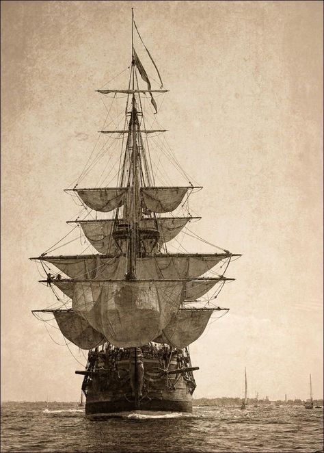 Home / X Fleet Of Ships, Navi A Vela, Bateau Pirate, Old Sailing Ships, Clipper Ship, Ship Tattoo, Tall Ship, Vintage Boats, Sailing Vessel