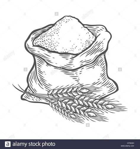 Sack with whole flour or sugar with ear wheat. Hand drawn sketch Stock Vector Art & Illustration, Vector Imag… | Wheat drawing, Engraving illustration, Illustration Wheat Drawing, Engraving Illustration, Vector Art Illustration, Illustration Vector, Artsy Fartsy, Art Illustration, Wheat, Cute Wallpapers, Flour