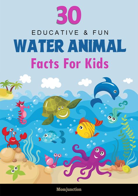 Water occupies more than 70% of the earth's surface. Understandably, oceans are home for numerous water animals. Just five percent of the earth's oceans Water Animals Preschool, Endangered Species Activities, Animal Fact File, Ocean Facts, Animal Information, Animal Facts For Kids, Daycare Themes, Water Facts, Teaching Lessons Plans