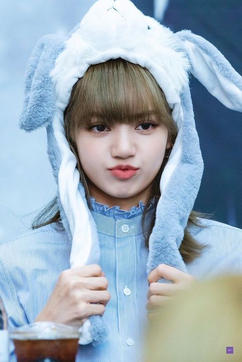 Mini Albümler, Blackpink Wallpaper, Lisa Bp, Blackpink Funny, Lisa Blackpink Wallpaper, Mode Kpop, Dessin Adorable, Blackpink Video, Lalisa Manobal