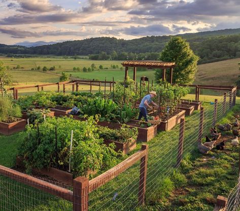 Farm Commune, Appalachian Farm, Jungle Cottage, Farm Experience, Tennessee Farm, Farm Retreat, Farm Property, Resort Ideas, Abandoned Farmhouse