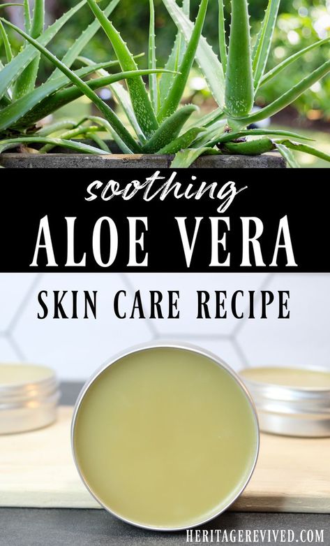 Salve recipe in tins with aloe vera plant and text overlay "Soothing aloe vera skin care recipe" Aloe Vera Recipes, Aloe Vera Powder, Aloe Vera For Skin, Aloe Vera Skin Care, Salve Recipes, Fresh Aloe Vera, Herbal Recipes, Diy Recipes, 140 Pounds