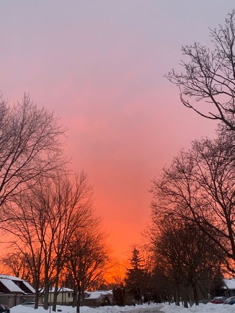 winter sunrise, sky photos, sky, winter aesthetic, sunrise photos, winter, golden hour Aesthetic Sunrise, Moon Rainbow, Photos Winter, Winter Sunrise, Sunrise Photos, Sky Photos, Red Tulips, Winter Aesthetic, Aesthetic Images