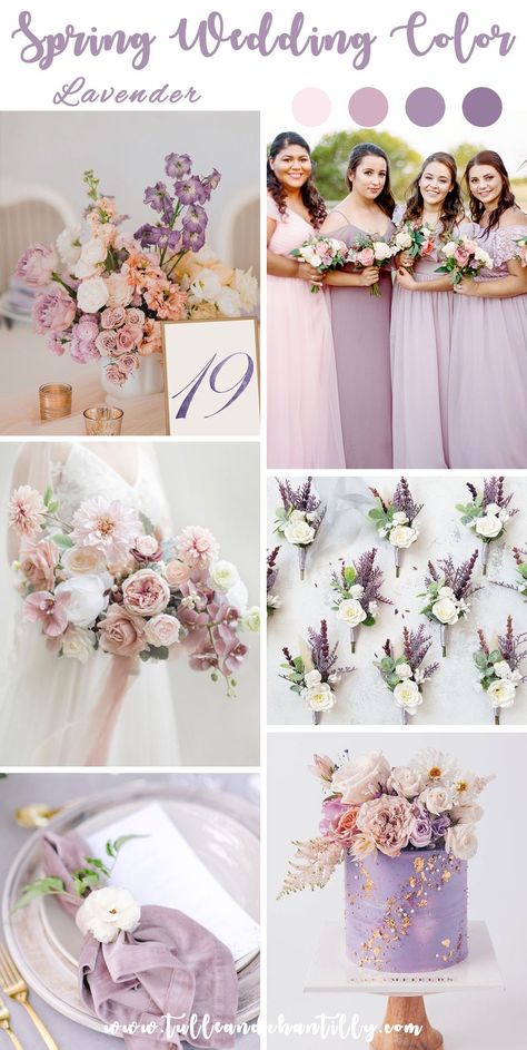 Elegant lavender bridesmaid dresses and wedding color decor for 2023 spring wedding color idea Lilac And Khaki Wedding, Lavender Blush And Sage Wedding, Wedding Color Scheme Lavender, Colors That Match With Lavender, Lavender And Champagne Wedding, Wedding Color Decor, Lilac And Pink Wedding, Purple And Sage Wedding, Dusty Lavender Wedding