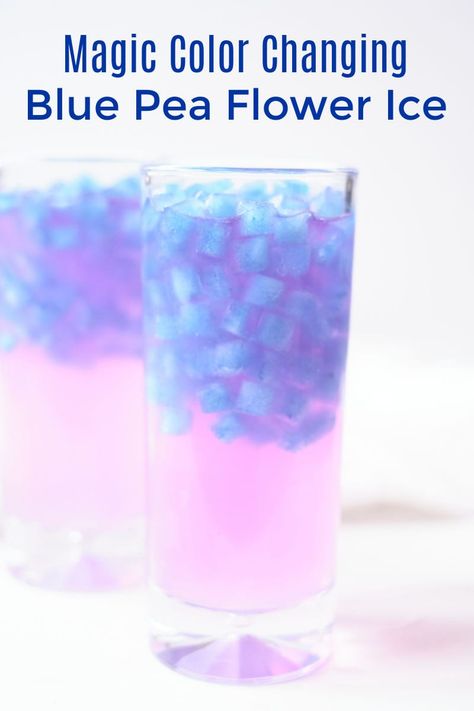 Tea Magick, Avatar Birthday, Blue Pea Flower, Ice Ideas, Ice Recipe, Pea Flower Tea, Flower Ice Cubes, Flavored Ice Cubes, Icee Recipe