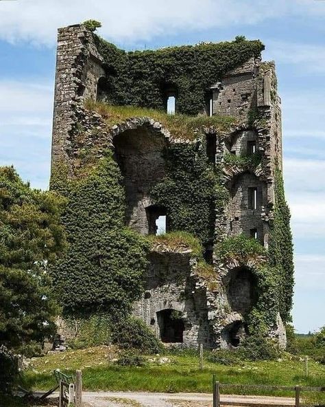 Fantasy Architecture, Beautiful Ruins, Matka Natura, Urban Exploring, Castles In Ireland, Abandoned Castles, Nature Architecture, Castle Ruins, Beautiful Castles