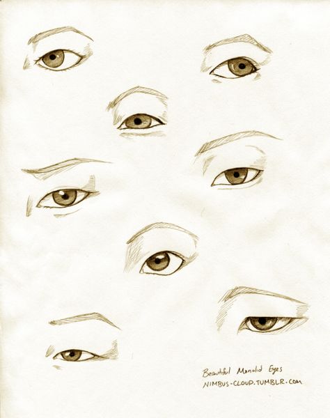 Monolid Eye Reference Sheet To follow up my... | Nimbus Makes Shit Monolid Eyes, Male Figure Drawing, Realistic Eye Drawing, Tumblr Drawings, Desenhos Harry Potter, Eye Sketch, Human Figure Drawing, Face Sketch, Small Drawings