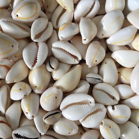 LB Beads on Instagram: “Cowrie shells...... let’s see what I come up with 🤔 #shells #cowrieshells #artjewellery #jewelrydesigner #jewellerymaker #jewellerylover…” Cowrie Shell Aesthetic, Cowrie Shell Jewelry, I Love Being Black, Cowry Shell, Graduation 2024, African Inspired Clothing, Cowrie Shells, 2024 Design, Afro Punk