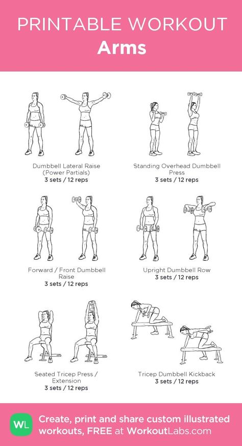 Weekly Gym Workouts, Beginners Gym Workout Plan, Upper Body Workout Gym, Workout Labs, Workout Gym Routine, Printable Workout, Workout Program Gym, Gym Workout Plan For Women, Gym Plan