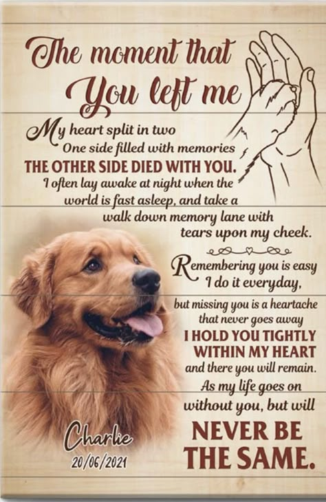 Dog Heaven Quotes, Dog Heaven, Dog Loss, Forever In My Heart, Pet Loss, Dog Quotes, Dog Stuff, I Miss You, Miss You