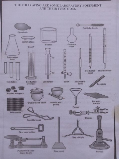 Lab Apparatus, Laboratory Apparatus, Analytical Balance, Chemistry Lab Equipment, Conical Flask, Graduated Cylinder, Bunsen Burner, Lab Instruments, Chemistry Lab