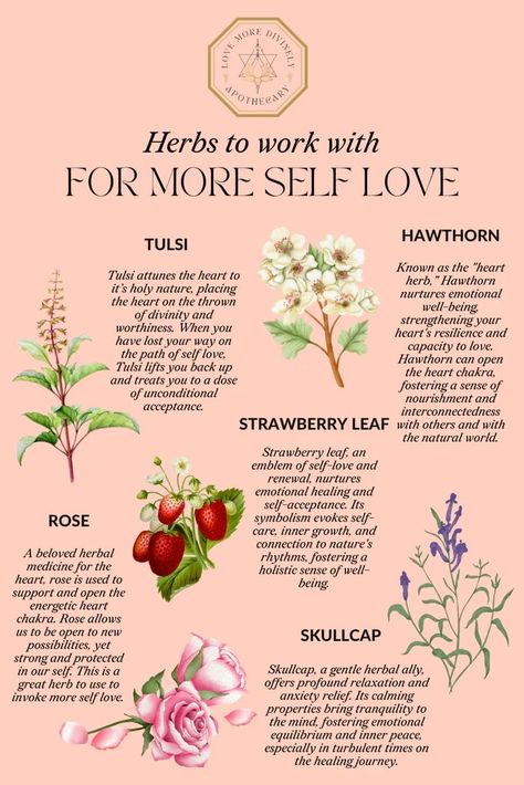 Embracing the Power Within - Self love is vital for a happy and healthy life. There are many herbs that can support you on your journey of self-love, but these five are some of my favorites to work with! Plants For Self Love, Self Love Herbs And Spices, Self Love Herbs And Oils, Self Love Herbs Witchcraft, Herbs For Self Love, Witch Studying, Natural Apothecary, Studying Ideas, Herb Magic