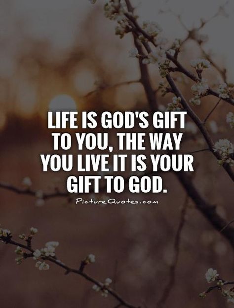 Gods Gift Quotes, Kindness Matters Quotes, Travel Quotes Italy, Beautiful Christian Quotes, Christian Quotes About Life, Matter Quotes, Life Is A Gift, Kindness Matters, Healthy Cat Treats