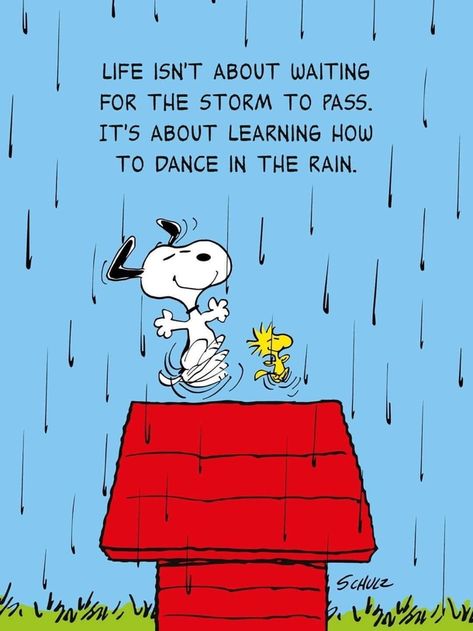 Charlie Brown Quotes, Good Morning Snoopy, Snoopy Funny, Snoopy Images, Snoopy Wallpaper, Snoopy Quotes, Snoopy Pictures, Snoop Dog, Snoopy Love