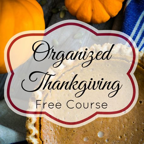 Do you start feeling stressed this time of year? Sign up for this FREE 3-day Organized Thanksgiving eCourse that features easy, actionable steps and printables to help you get organized! Thanksgiving Planning, Thanksgiving Planner, Money Saving Mom, Enjoy The Day, Retro Housewife, Thanksgiving Ideas, Planning Guide, Thanksgiving Crafts, Fall Holidays