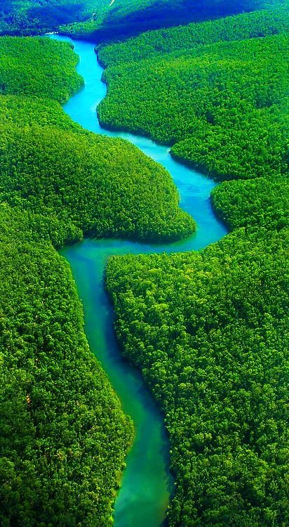 Matka Natura, Amazon Rainforest, Travel South, South America Travel, Alam Yang Indah, Alam Semula Jadi, Quito, The Amazon, Lush Green