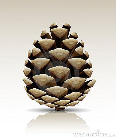 Vector pine cone isolated Conifer Cone, Pineal Gland, Seed Pods, Stock Photography Free, Christmas Deer, Pine Cone, Eye Drawing, Pine Tree, Spiritual Awakening