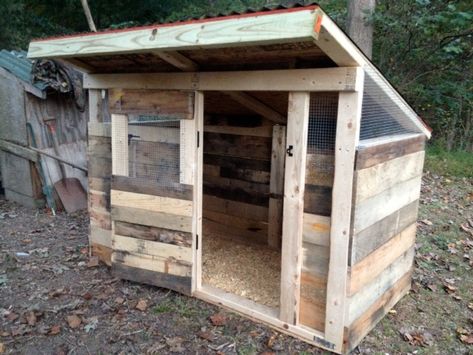 Chicken House Diy, Pallet Coop, Pallet Chicken Coop, Chicken Coop Pallets, Easy Chicken Coop, Portable Chicken Coop, Chicken Pen, Diy Chicken Coop Plans, Coop Ideas