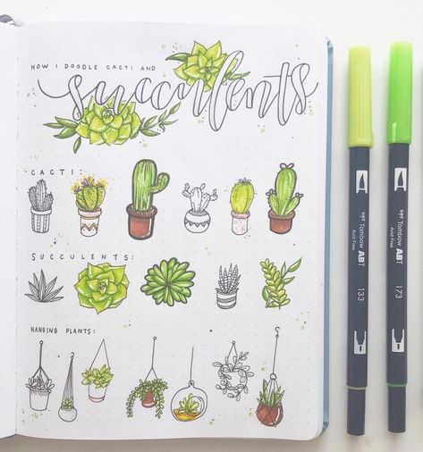 Draw Succulents, Best Bullet Journal Pens, Succulent Doodle, Cactus Doodle, Succulents Drawing, Succulent Theme, Crazy Laura, Plant Doodle, Bujo Doodles