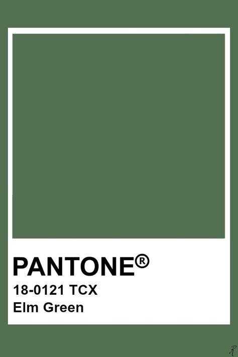 Pantone Green Colors, Pantone Green Shades, Pantone Verde, Pantone Tcx, Pantone Green, Pantone Color Chart, Pantone Swatches, Pantone Palette, Pantone Colour Palettes