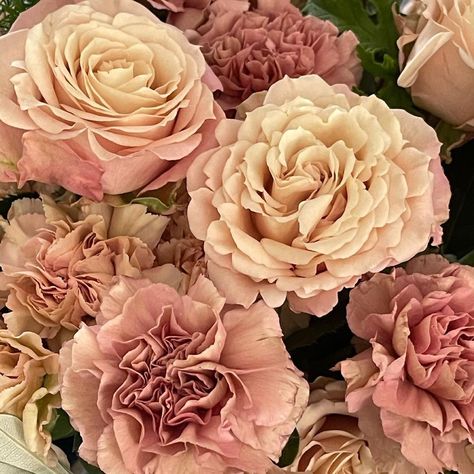 What do you think of our Sahara Sensation garden roses? (photo by uBloom) #gardenroses #rose #flowers #flower #roses #saharasensationrose Short Vase, Growing Roses, Flower Therapy, Flower Names, Rose Photos, Garden Roses, Rose Flowers, You Think, Roses