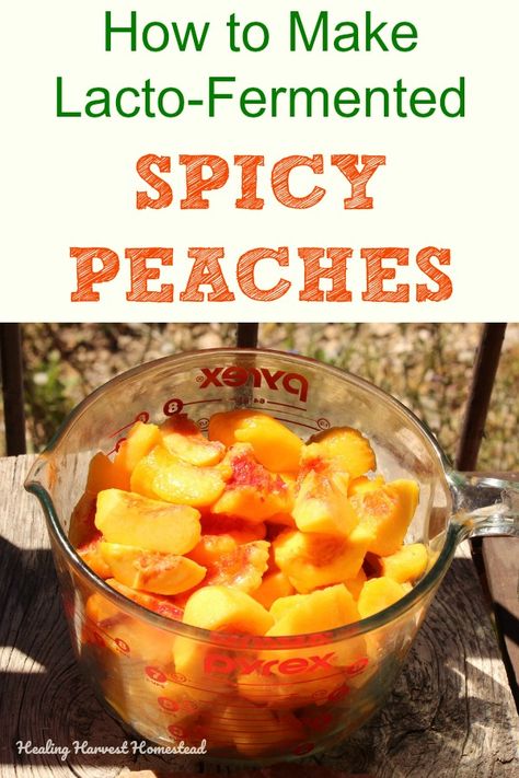 Fermented Cinnamon Peaches, Spicy, Easy, and Delicious! (How to Ferment Peaches with this Recipe) — Home Healing Harvest Homestead Lacto Fermented Peaches, Fermented Desserts, Easy Fermented Foods, Fermented Peaches, Fermenting Pickles, Cinnamon Peaches, Sleep Tincture, Pickled Rhubarb, Fermented Fruit