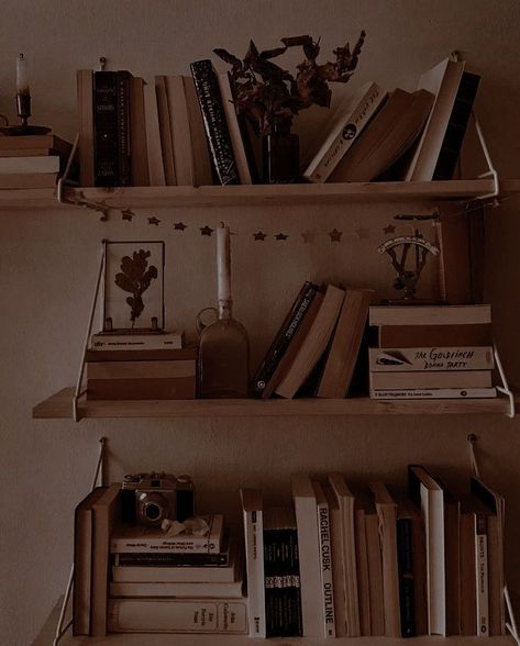 Vintage Library Aesthetic, Dark Academia Widget, Books Dark Academia, Aesthetic Brown Wallpaper, Library Wallpaper, Brown Image, Brown Rooms, Light Academia Aesthetic, Antique Aesthetic