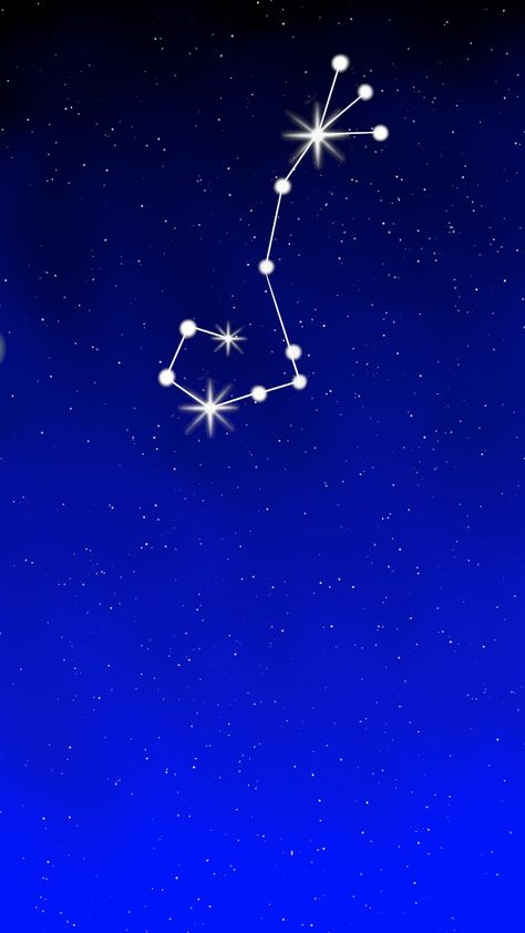 Constellation Scorpion, Scorpion Constellation, Constellation Scorpio, Beetles, Scenery Wallpaper, Scorpion, Constellations, Beautiful Pictures, Insects