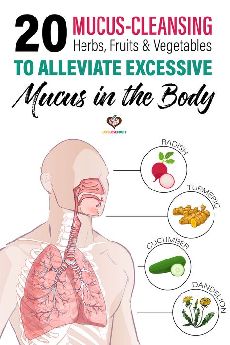 Mucus In Throat, Getting Rid Of Mucus, Cleansing Herbs, Mucus Relief, Getting Rid Of Phlegm, Best Cough Remedy, Lung Cleanse, Lung Detox, Healthy Lungs