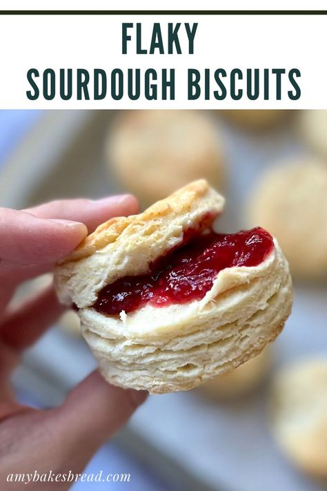 Soft in the middle with lots of beautiful layers, these flaky sourdough biscuits are tender and delicious. Made with sourdough discard, these biscuits are so quick to whip up and taste incredible warm with a little bit of butter and homemade jam! Layered Biscuits, Sourdough Muffins, Sourdough Biscuits, Sourdough Starter Discard Recipe, Flaky Biscuits, Sourdough Starter Recipe, Biscuit Rolls, Sourdough Discard, Sourdough Bread Recipe