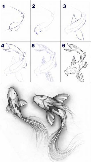 DESSINER | L'Atelier de Jojo | Bloglovin’ Draw Koi Fish, Lukisan Haiwan, Easy Pencil Drawings, Art Du Croquis, Men Tattoos, Couple Drawing, Pencil Drawings Easy, Fish Drawings, 문신 디자인