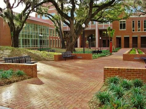 Rehab School Building Design, Fsu Seminoles, Building Aesthetic, Dry Land, School Campus, Buy A Home, Dream School, School Yard, Florida State University