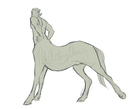 Drawing Centaurs, Pegasus Centaur, Centaur Poses Reference, Centaur Base, Centaur Deer, Centaur Anatomy, Centaur Character, Centaur Oc, Centaur Art